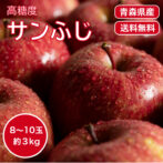 送料無料 青森県 青森 サンふじ ふじりんご 8～12玉 約 3kg 前後